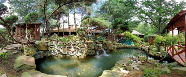 navaria-nova_2018_019