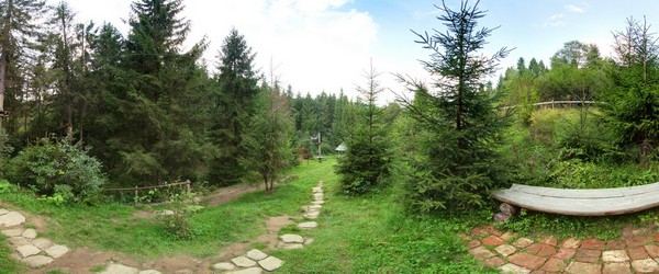 Природа. Поблизу мотузкового парку