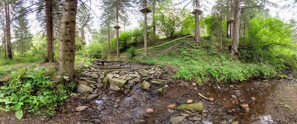 Біля потічка