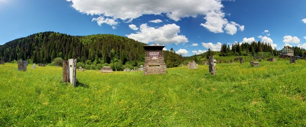 Пейнтбольний майданчик Мохнач, літо