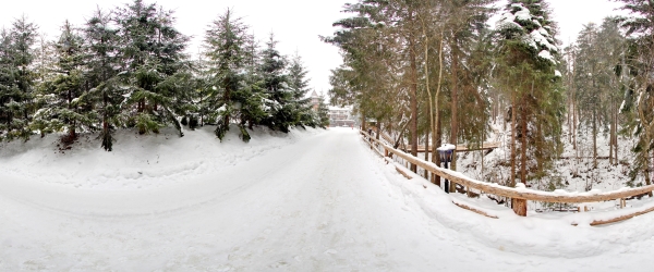 Зима (лютий 2018)