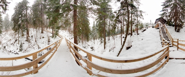 Зима (лютий 2018)